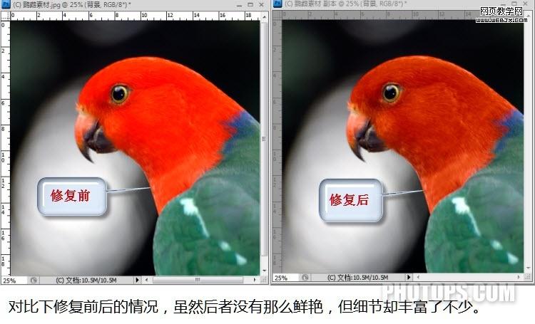 photoshop通道教程:修復通道調圖片-網頁設計