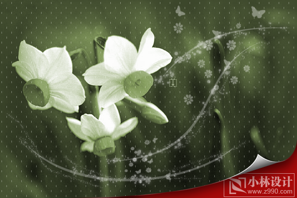 photoshop處理照片:花卉照片添加光線_webjx.com