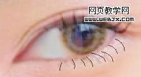 photoshop教程:美女照片仿手繪-webjx.com