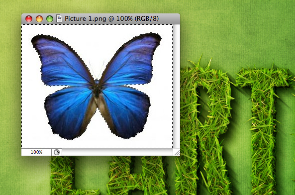photoshop模擬制作綠色草坪文字_webjx.com