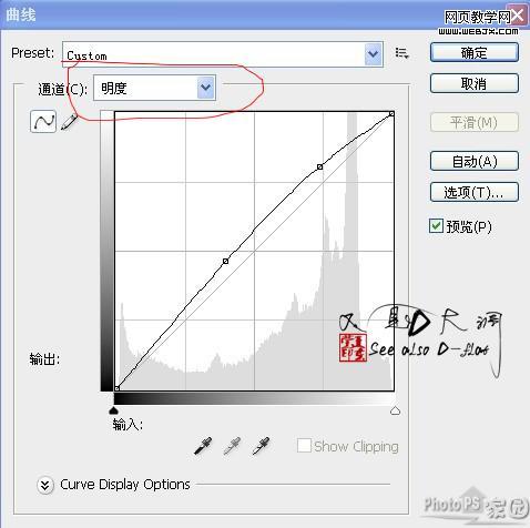photoshop教程:美女照片仿手繪-webjx.com