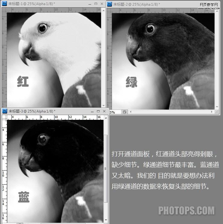 photoshop通道教程:修復通道調圖片-網頁設計