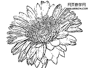 photoshop濾鏡將彩色圖片變成黑白木刻線描