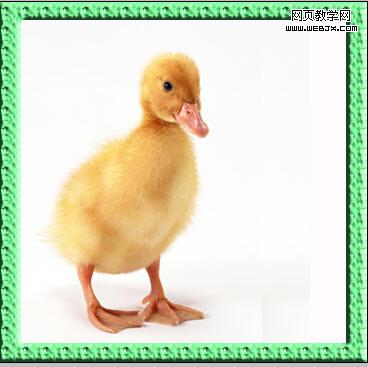 photoshop教程:簡單的邊框和畫中畫_webjx.com