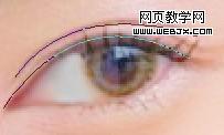 photoshop教程:美女照片仿手繪-webjx.com
