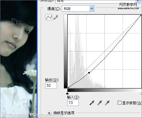 photoshop把圖片調(diào)成冷艷憂(yōu)郁色調(diào)-www.webjx.com