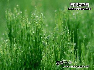 按此在新窗口瀏覽圖片
