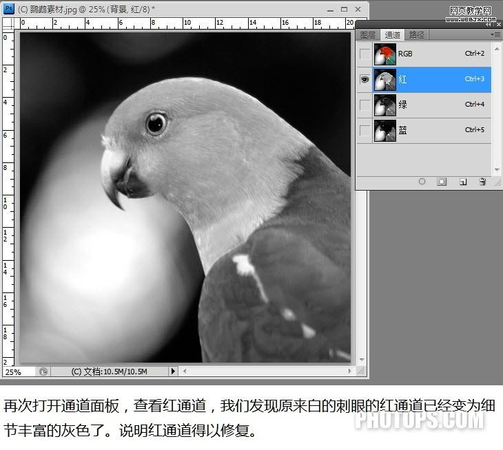 photoshop通道教程:修復通道調圖片-網頁設計