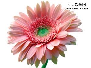 photoshop濾鏡將彩色圖片變成黑白木刻線描