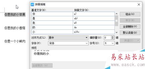 wps中國特有的版式設置