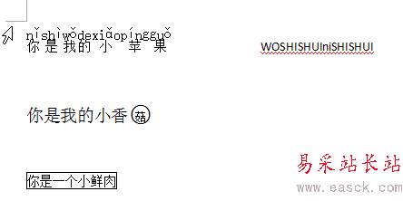 wps中國特有的版式設置