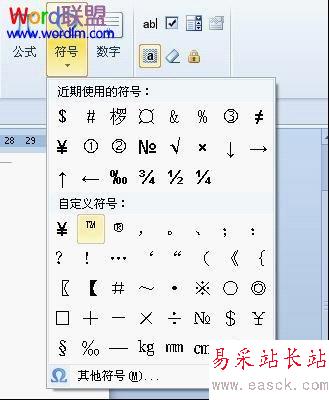 符號插入