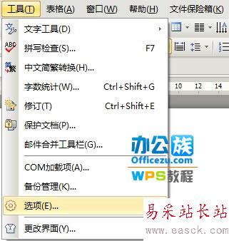WPS文檔保密技巧，保護(hù)信息安全