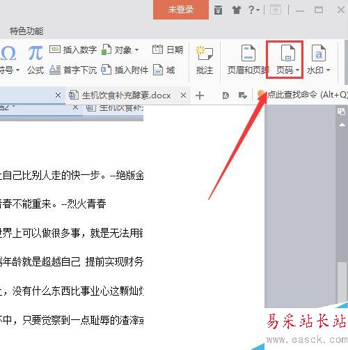 WPS中怎么插入頁碼？