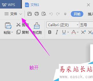 WPS 2019怎么加密文件？WPS 2019加密文檔教程