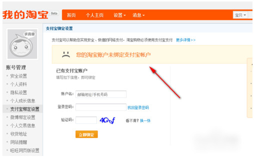 支付寶
