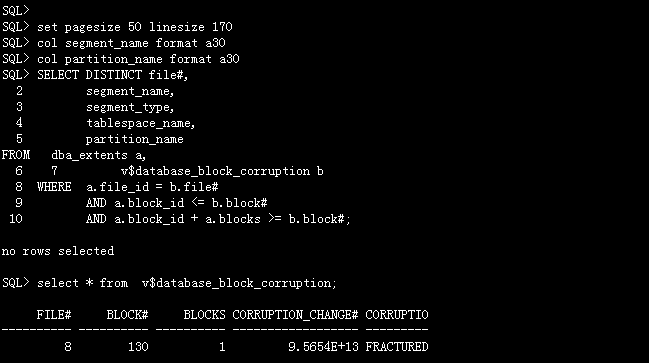 ORACLE,檢查,損壞,索引,Corrupt,Indexes