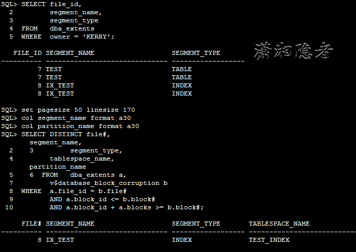 ORACLE,檢查,損壞,索引,Corrupt,Indexes