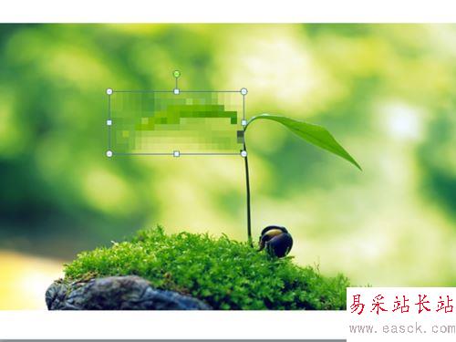 ppt給圖片添加馬賽克的設置方法