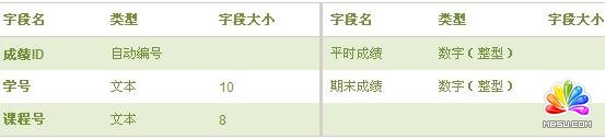 創建 Access 2007 表