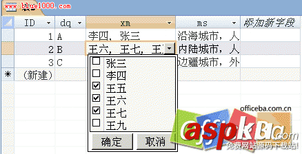 在Access2007中使用“多值”實現文字的sum