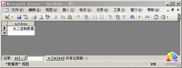 ASP/ASP.NET網(wǎng)站中怎么防止Access數(shù)據(jù)庫(kù)被別人下載