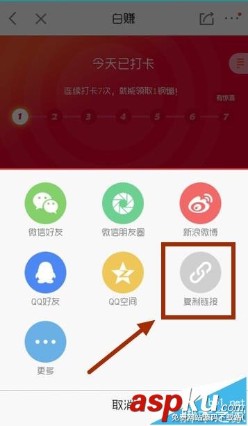 京東,鋼镚,小白卡