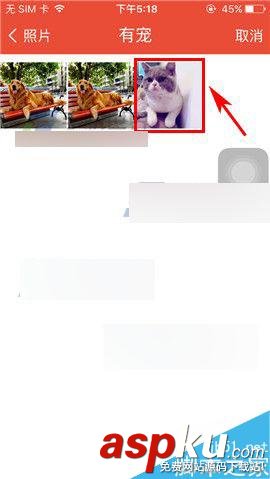 微愛,情侶封面